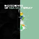 Ingredients-of-Sea-Salt.webp